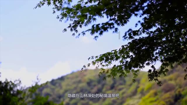 收集星星的高吉